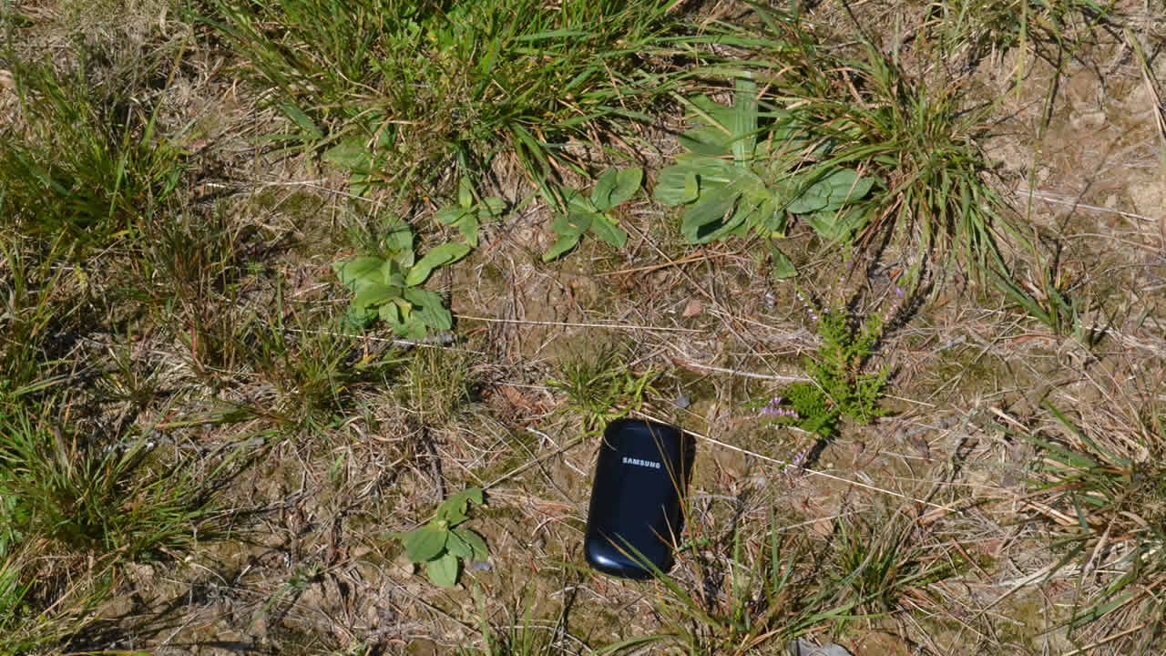 Ein Jahr alte Jungpflanzen auf der Frässtelle an der Löwitz östlich Rehau im August 2015